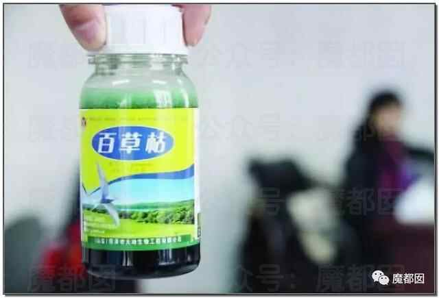 悲剧发生！花季少女喝下百草枯引发爆议！到底真相有多可怖？