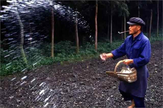 悲剧发生！花季少女喝下百草枯引发爆议！到底真相有多可怖？
