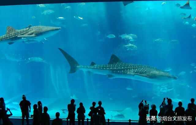 假期好去处，烟台“游在山海”二日游精品线路推荐！（文末福利）