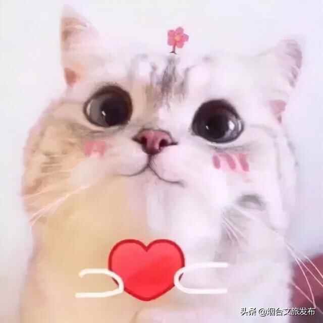 假期好去处，烟台“游在山海”二日游精品线路推荐！（文末福利）