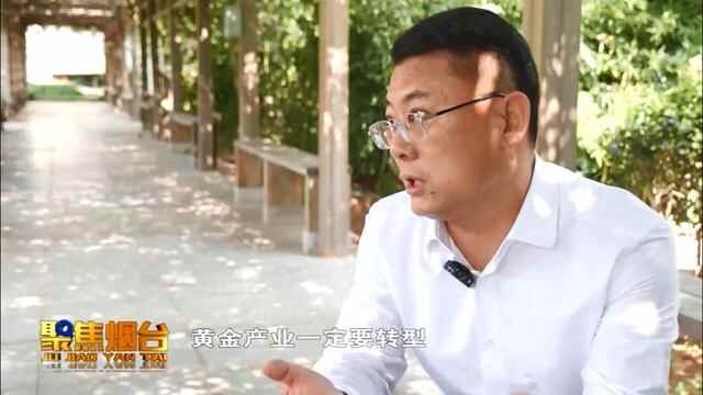 黄金产业按下了暂停键后，招远该怎么办？