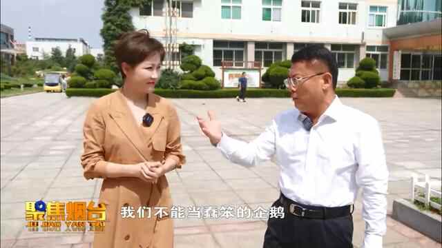 黄金产业按下了暂停键后，招远该怎么办？