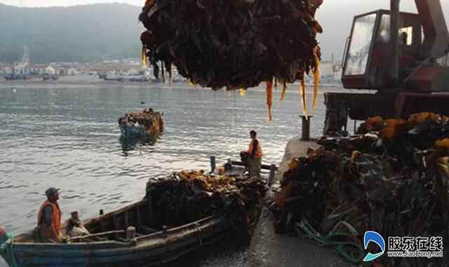 【特色小镇】长岛县北隍城乡:旅游避暑疗养胜地