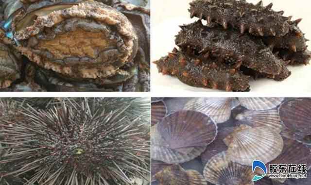 【特色小镇】长岛县北隍城乡:旅游避暑疗养胜地