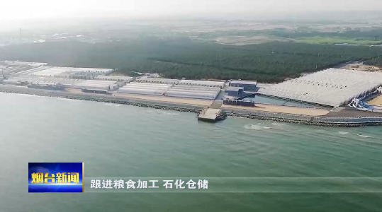 莱州：以港兴城！做好港产城融合发展新文章