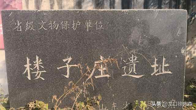 山东龙口一个村庄，因一位明代名将而闻名，曾出土过不少文物