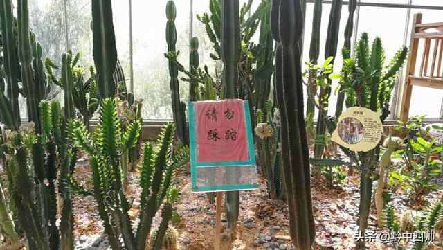 走进蓬莱仙界，沐浴秋日阳光感受秋收的喜悦