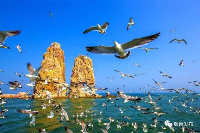 长岛，中国唯一的海岛国家地质公园