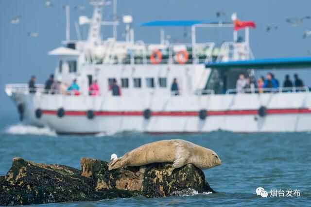 长岛，中国唯一的海岛国家地质公园