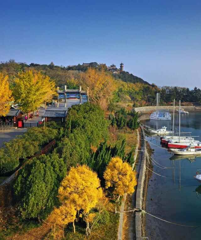 一入秋，蓬莱就惊艳了世人！