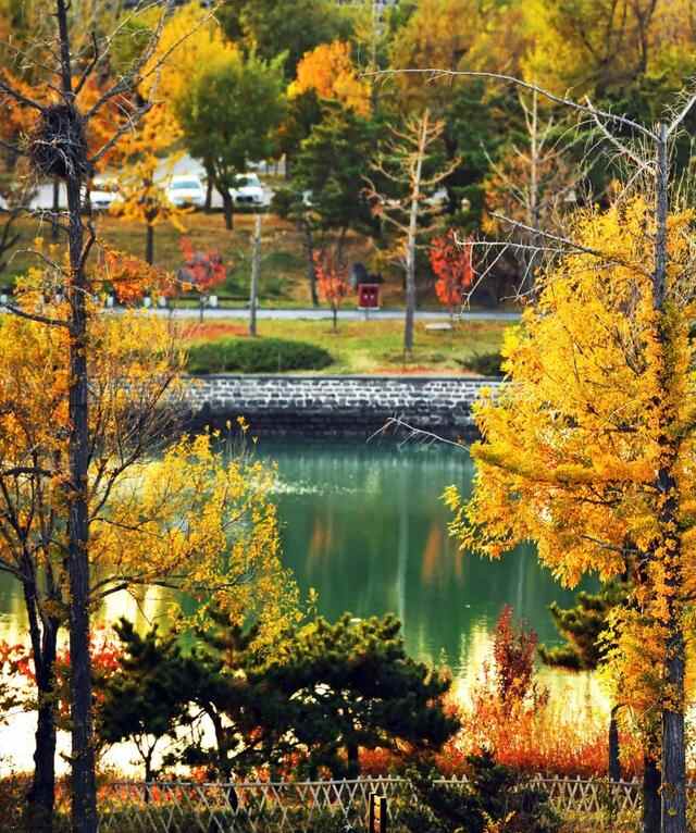 一入秋，蓬莱就惊艳了世人！