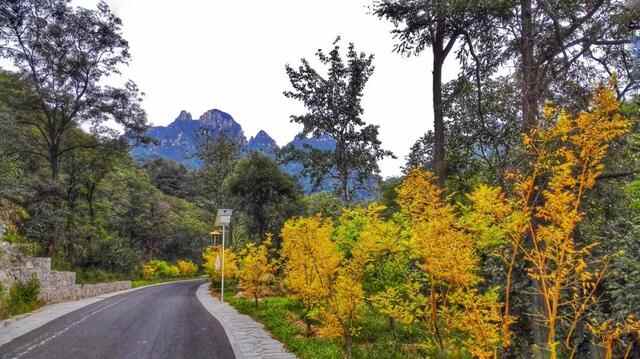 一入秋，蓬莱就惊艳了世人！