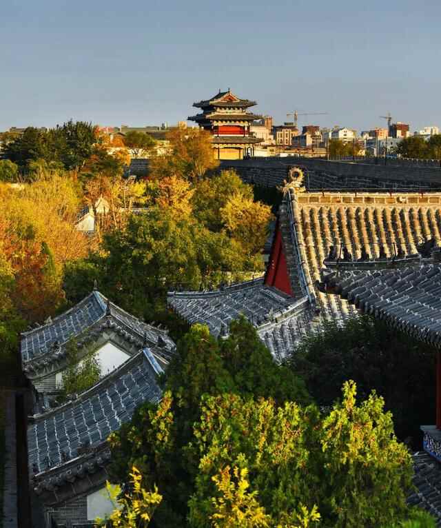 一入秋，蓬莱就惊艳了世人！