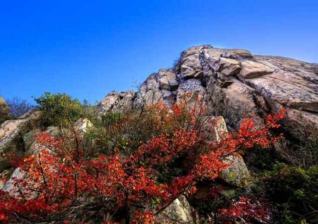 一入秋，蓬莱就惊艳了世人！