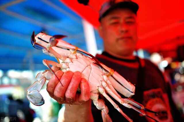 齐鲁大地之烟台（人口分布情况）：芝罘区87.7万人，龙口72.9万人