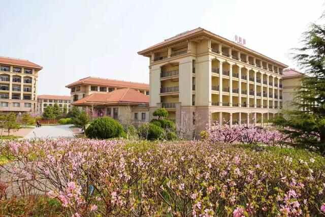 老有所养，弱有所扶，莱山区做好普惠性基础性兜底性民生建设