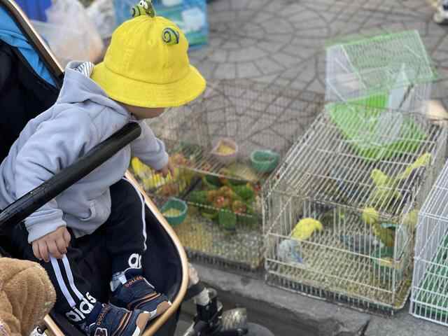 来牟平集市嗅一嗅最地道的烟火味道