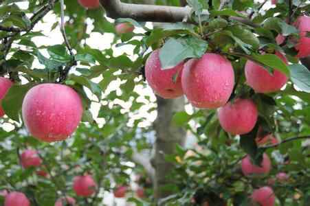 中国行政区划——山东省烟台市招远市