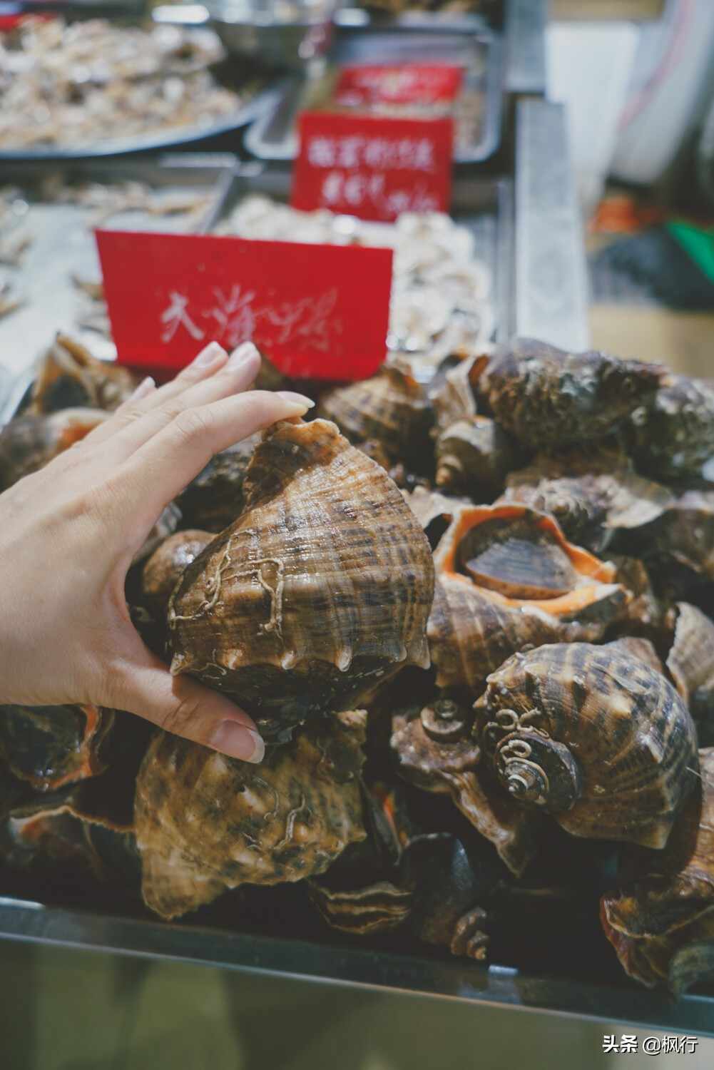 2天烟台旅游可以吃到啥？这4家餐厅14道美食经济实惠都是经典