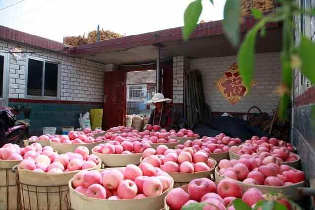 预告 | 电商大咖云集，一镇一品亮相！海阳电商发展大会明日启动