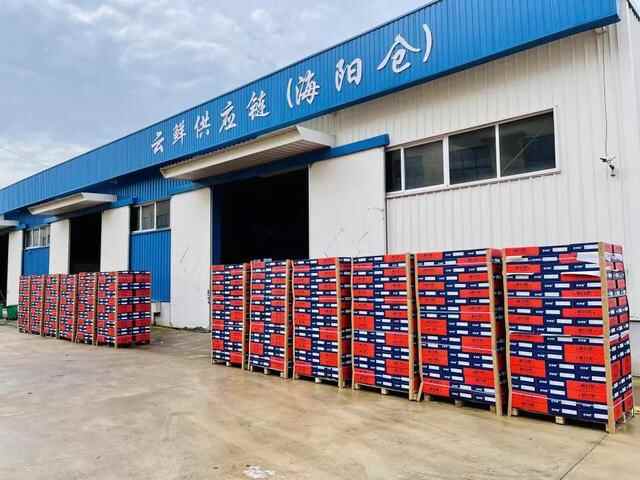 预告 | 电商大咖云集，一镇一品亮相！海阳电商发展大会明日启动