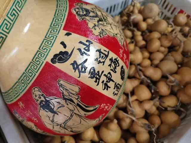 阁外蓬莱丨守艺人，你的葫芦里卖的是什么“要”？