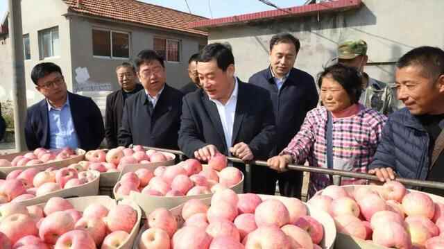 栖霞市委书记包华调研苹果产业高质量发展工作