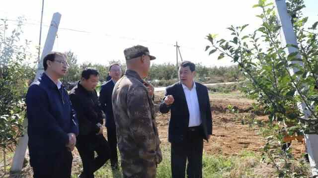 栖霞市委书记包华调研苹果产业高质量发展工作