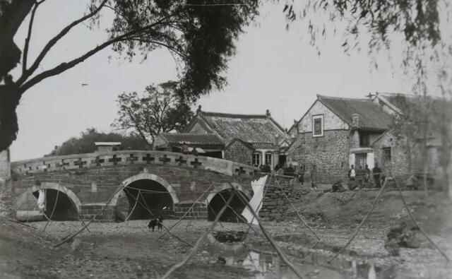 我要把你放进蓬莱小面里，因为我是浪漫的蓬莱人！