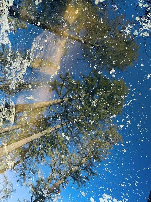 金秋十月，你眼中的牟平是什么颜色的？