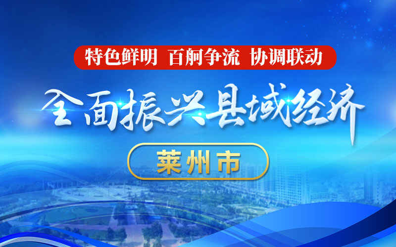 全面振兴县域经济——莱州市