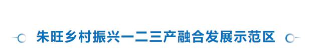全面振兴县域经济——莱州市
