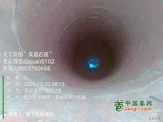 山东莱州、平度、沂水生态生姜基地测产简记