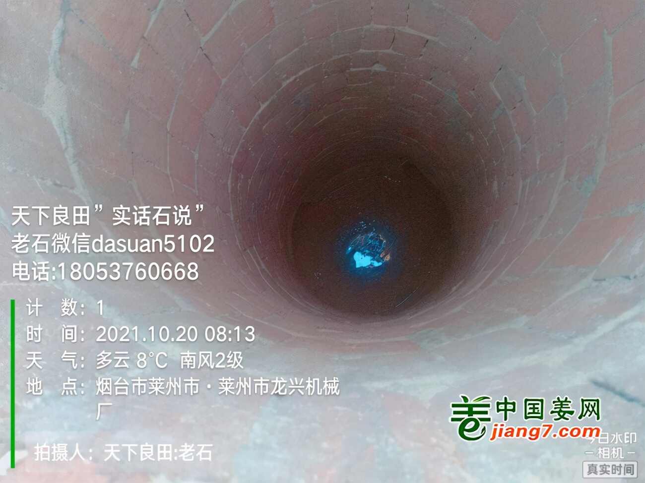 山东莱州、平度、沂水生态生姜基地测产简记