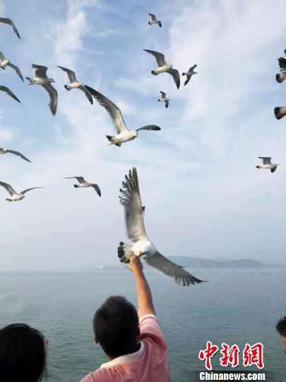 山东长岛打造中国海洋生态文明的海岛样板