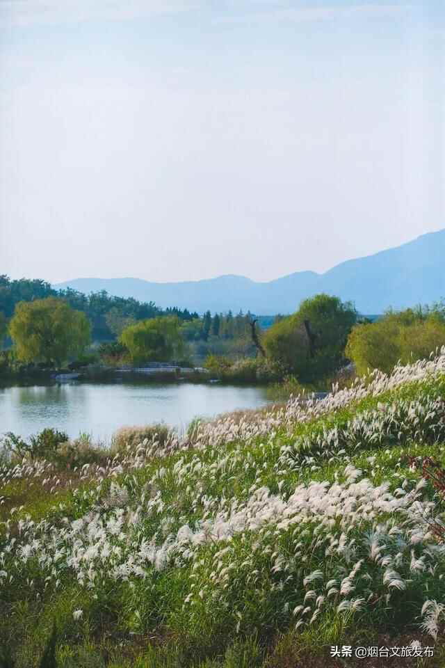 烟台有个“秘密城市后花园”，逃离城市喧嚣的生活秘境！