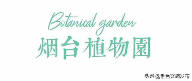 烟台有个“秘密城市后花园”，逃离城市喧嚣的生活秘境！