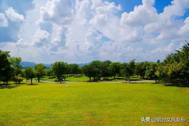 烟台有个“秘密城市后花园”，逃离城市喧嚣的生活秘境！