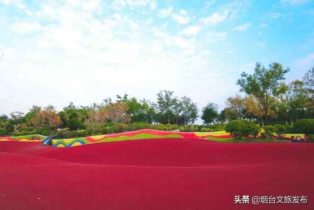 烟台有个“秘密城市后花园”，逃离城市喧嚣的生活秘境！