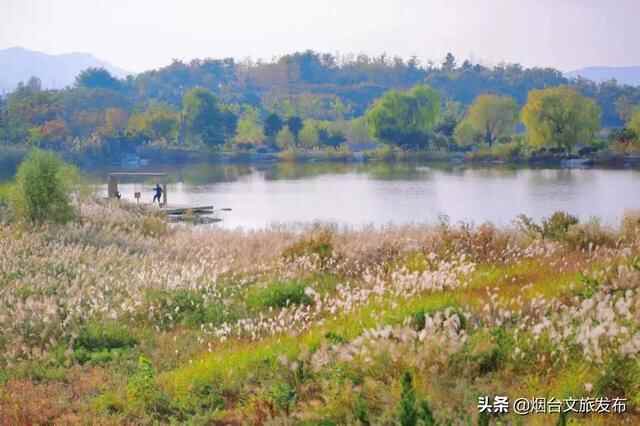 烟台有个“秘密城市后花园”，逃离城市喧嚣的生活秘境！
