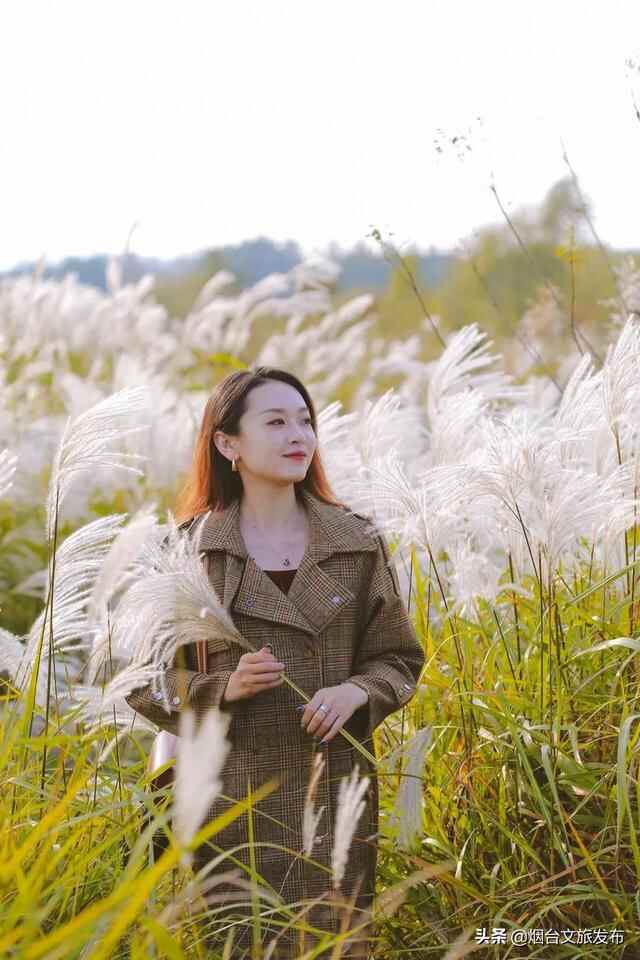 烟台有个“秘密城市后花园”，逃离城市喧嚣的生活秘境！