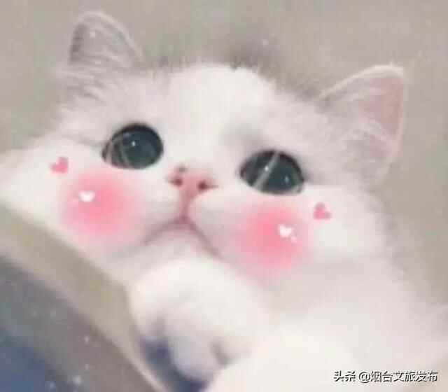 烟台有个“秘密城市后花园”，逃离城市喧嚣的生活秘境！