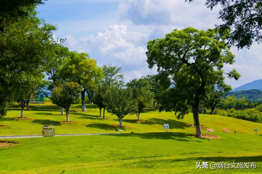 烟台有个“秘密城市后花园”，逃离城市喧嚣的生活秘境！
