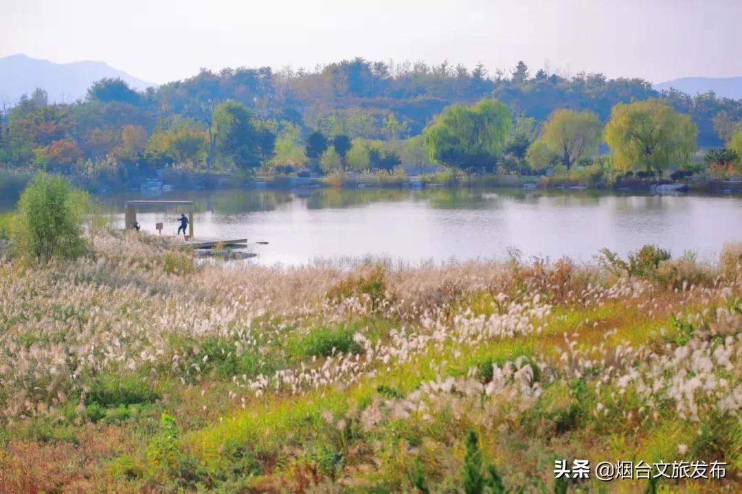 烟台有个“秘密城市后花园”，逃离城市喧嚣的生活秘境！