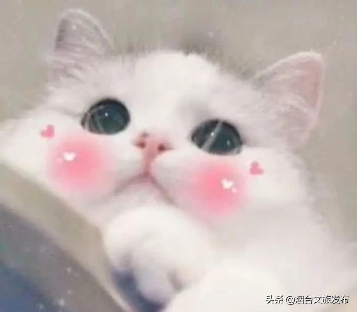 烟台有个“秘密城市后花园”，逃离城市喧嚣的生活秘境！