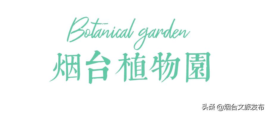 烟台有个“秘密城市后花园”，逃离城市喧嚣的生活秘境！