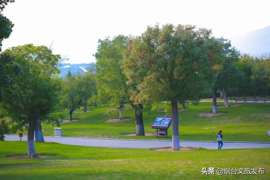 烟台有个“秘密城市后花园”，逃离城市喧嚣的生活秘境！