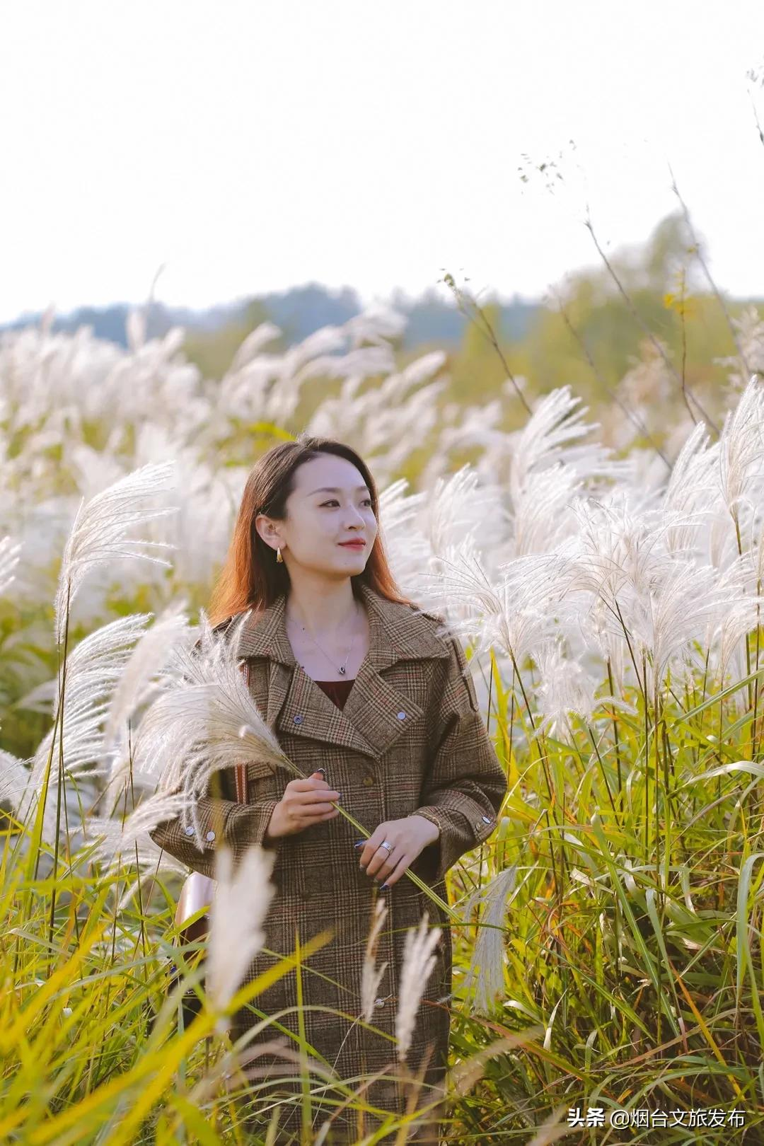 烟台有个“秘密城市后花园”，逃离城市喧嚣的生活秘境！