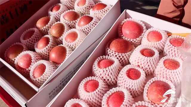 组图｜2021烟台海阳电商发展大会暨金秋名优产品消费季启动