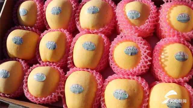 组图｜2021烟台海阳电商发展大会暨金秋名优产品消费季启动